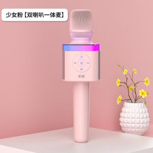 Handheld One-piece Karaoke Sound System SOAIY Small Bee Amplifier Microphone Audio Integrated Portable Loudspeaker