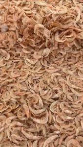 Ikan Asin Rebon Super: Sarapan Sehat & Diet