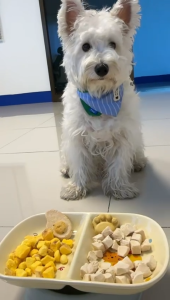 ขนมฟรีซดรายไข่แดงแท้ 100% สำหรับแมวและสุนัข โปรตีนสูง ไม่มีเกลือ ไม่มีสารกันบูด