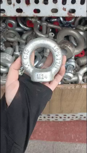Bulong Tròn Tai Vòng (M24) Ren (ÂM) bulong Vòng (1.8T) Thép Cứng Ren Trong Kéo Nâng Hạ Hàng Hoá