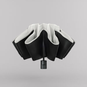 Auto Open Close Mens Umbrella 24 Ribs