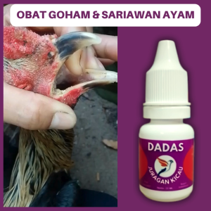 Obat Ayam Goham Manikan Ngemil Sariawan Gom Radang Dan Infeksi Saluran Pernafasan