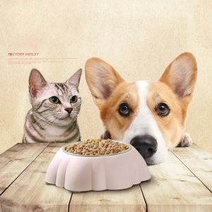Double Pet Bowls Dog Food Water Feeder Stainless Steel Pet Drinking Dish Feeder Cat Puppy Feeding Supplies Small Dog Accessories
