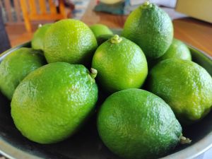 🫒มะนาวสด คัดลูกเขียว ปลอดสารปลูกธรรมชาติ 1000 g.เก็บสดใหม่จากต้น🍋 #สั่งไม่เกิน 5 โลต่อ 1 ออเดอร์