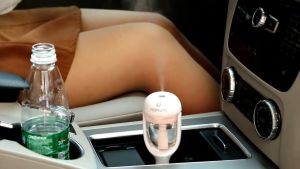 Original Nanum Car Air Humidifier Air Purifier Aroma Diffuser Essential Oil Aromatherapy Diffuser