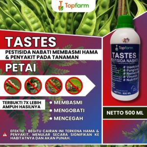 Obat Pete Anti Perontok / Obat Pohon Pete / Obat Pete Agar Berbuah / Obat Pete Agar Berbuah Lebat / Obat Pete Biar Berbuah / Obat Ulat Buah Pete / Obat Pohon Petai