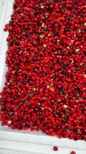 Hạt giống sâm Ngọc Linh Ship Toàn Quốc ( Hạt đỏ tươi đã già )