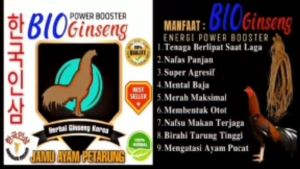 JAMU DOPPING HERBAL GINSENG KOREA PENAMBAH AGRESIFITAS AYAM BIO GINSENG 1 BOTOL BIO GINSENG 50 BUTIR