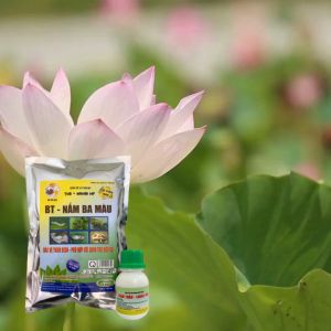 Bộ đôi trừ sâu hữu cơ: Nấm Ba Màu + Thẩm thấu loang trải (thuốc sâu) - gói 1kg
