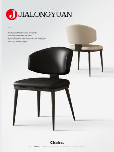 Jialongyuan Chair Italian Normcore Internet Celebrity Scandinavian Chair Modern Simple Home Dining Table and Chair Leather Dining Chair