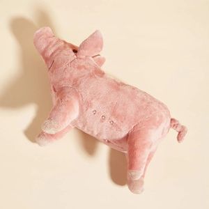 A Cute Pig Design Pet Teeth Grinding Plush Toy Bite Resistant Interactive Dog Toy Supply