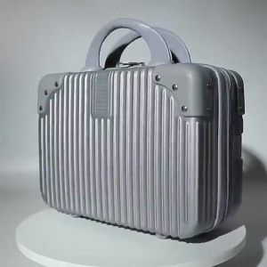 BE Cosmetic Bag 14 Inch Make Up Bag Small Travel Luggage Hand Carry Luggage Mini Suitcase