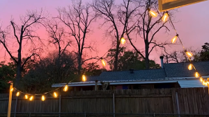 ไฟปิงปอง 30 เมตร 50 ดวง รีโมต โซล่าเซลล์ ไฟเส้นอัจฉริยะ ST38 ไฟประดับ หลอดไฟ LED ประหยัดไฟมาก ไฟสวน ไฟแต่งสวน ไฟปิงปอง