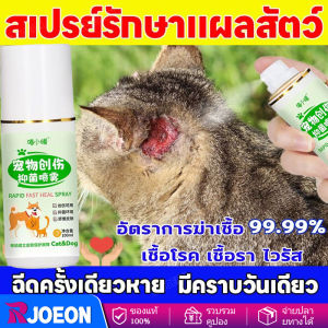 🐱สเปรย์แผลสัตว์ มีผลตั้งแต่ 1 สเปรย์🐶เปรย์สมานแผลสำหรับสัตว์เลี้ยง สเปรย์พ่นแผล สัตว์เลี้ยง / สุนัข / แมว แผลแห้งเร็วมาก ยับยั้งแบคทีเรีย แผลแห้งเร็วมาก ยับยั้งแบคทีเรีย