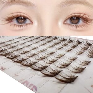 60 Cái Mi Giả Ngắn Màu Nâu Tự Nhiên Su Jie Dành Cho Người Mới Bắt Đầu Trang Điểm Hàng Ngày Mi Cong Tóc Tổng Hợp Kiểu Mi Giả