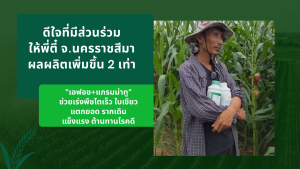 ปุ๋ยน้ำ บำรุงพืช เอฟอช Aforch สารนำพา สารจับใบ ปุ๋ยน้ำช่วยเร่งการเติบโต ใบเขียว แตกยอด ต้นแข็งแรง ชุดใหญ่ เอฟอช + แกรมม่าทู ขนาด 1000 ซีซี