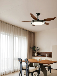 DGY | Slim Ceiling Silent High-end Fan Light