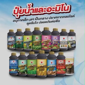 ปุ๋ยน้ำ อะมิโนข้าว สูตรบำรุงต้น (ขนาด 1 ลิตร) ดวงตะวันเพชร