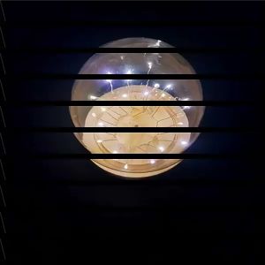 BUSH Home Decor Terrarium Tabletop Spherical Terrarium Transparent Bottle Jar Wooden base Glass cloche Flower Storage box Dust Cover