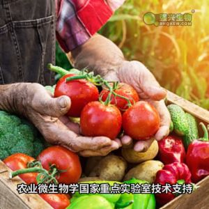 T-22 Trichoderma Harzianum