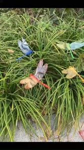 5Pcs Artificial DragonFly Garden Decoration Outdoor 3D Simulation Dragonfly Pile Courtyard Plant Lawn Decoration Stick Fake Dragonfly Pole Clips Dragon Fly Clip 3D Realistic Vivid Color Simple Clamp Waterproof PVC Delicate for Lawn Garden