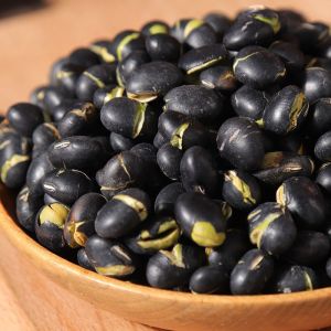 Instant Light Salted Original Flavor Crispy Black Bean Snacks Nutritious Leisurely Fried Goods for Pregnant Women And Children