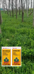 Dont hurt the crop racun rumput Each piece 100G can be filled with 16L of water Racun rumput mati akar kuat cepat weed killer rumput paling kuat cepat mati Grass killer racun rumput paling kuat ubat rumput mati racun rumpai paling kuat 除草剂  杀草药