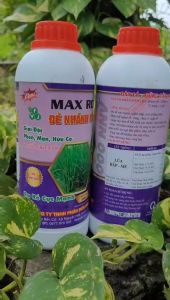 [Freeship Max] Phân bón lá MAX ROOT ĐẺ NHÁNH NỞ BỤI siêu ra rễ đẻ nhánh nở bụi bung đọt chai 1 lít_VTNN TIEN KHOA