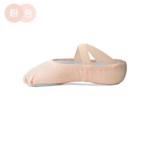 Soft Bottom Ballet Dance Shoes Womens Elastic Fabric Practice Shoes Professional Cat Claw Shape Body Adult And Childrens