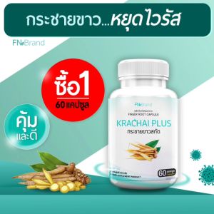 [ส่งฟรี! พร้อมส่ง] กระชายขาวสกัด FN Krachai Plus 60 แคปซูล  กระชายขาวสกัด กระชายขาว พลูคาว ขิง
