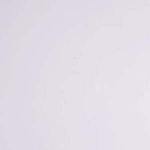10pcs Invisible Nail Hook Hanger 4x2cm Wall Mount Seamless Nail For Photo Frame