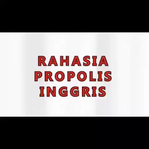 British Propolis Obat Amandel di Apotik Paling Ampuh