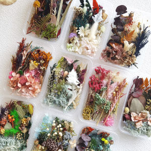 Handmade Christmas Decorations Dry Flowers And Fruits DIY Materials for Floral Arrangements Plant Fruits And Coniferous Needles