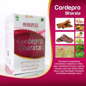 Cordepro Bharata Ampuh Obat Asma Sesak Nafas Paru Paru Basah TBC