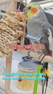 Bird Toys Bird Chewing Toy for Bird Parrot Toys Hanging Toys Bird Cage Toy Bird Accessories For Love Birds