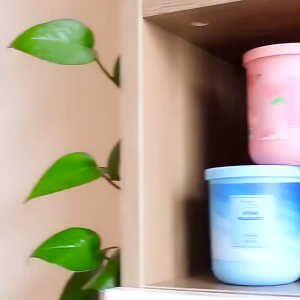 Hộp Sáp Thơm Khử Mùi Phòng 190g Lâu Phai An Toàn Cho Trẻ Nhỏ Khử Mùi Toilet Giày Dép Thú Cưng