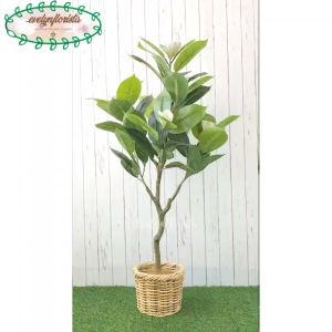 Pohon Hias Artificial Pohon Magnolia Latex Cover Anyaman Rotan Bulat Dekorasi Balkon Apartement Artificial