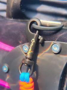 TinyMola | Single Hook Stainless Spring Anti-loss Rope