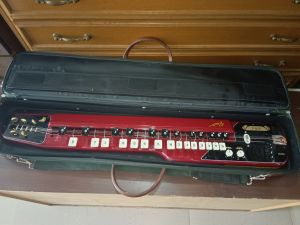 BRANDNEW TAISHIGOTO ELECTRIC KOTO GUITAR WITH HARD CASE WITHOUT CORDS ACTUAL PHOTOS AND VIDEO