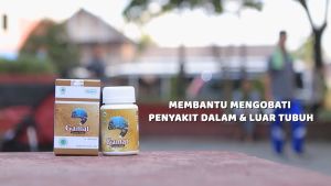 HIU Gamat Gold 60 Kapsul Herbal Indo Utama