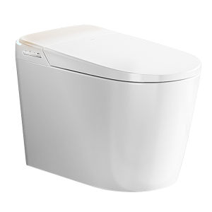 SSWW | Automatic Foam Shield Small Spaces Smart Toilet 057