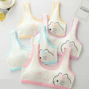 พร้อมส่งชุดชั้นในเด็กคละสี3ตัวผ้าฝ้ายแท้เสื้อชั้นในเด็กผู้หญิงฟรีไซส์ชุดชั้นในเด็กผู้หญิง