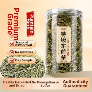 LEQIN | Wild Medicinal Herb Fresh Plantago Seeds for Soaking