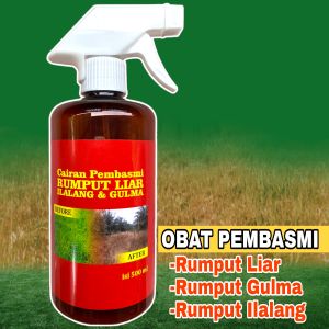 OBAT PEMBASMI RUMPUT LIAR | RUMPUT ILALANG | RUMPUT GULMA | 500ML | 1×24 Jam Rumput Mati Sampai Ke Akar