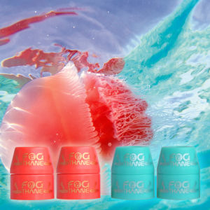 Scarab Longboard Skateboard Pu Shock Absorber High Rebound Professional Formula Kids Teenagers Adults Twin Tips Road Surfing