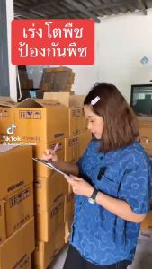 ชุดคู่ไคโตซาน+อะมิโนไอออน พืชต้านทานโรคและแมลงศัตรูพืช เร่งการเจริญเติบโตของพืช ขนาด1ลิตร