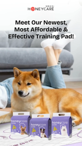 Honeycare Purple Side Pet Training Pee Pads for Dogs Leak Prevention & Protection - 3 Sizes (S/M/L)