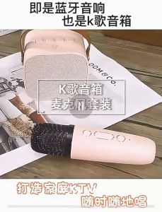 Portable Wireless Bluetooth Speaker with Wireless Microphone Karaoke with Mic Rechargeable KTV Karaoke Party Song Mini Speaker