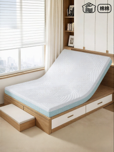 ZUOWEIAI | Nệm Foam Nhớ Hình Mềm Không Xẹp Lún