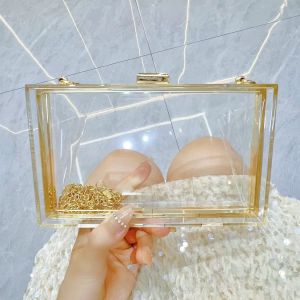 2025 New Clear Acrylic Small Flap Shaped Bags Women Trendy Chain Shoulder Crossbody Bags Womens Niche Design Novelty Purse
